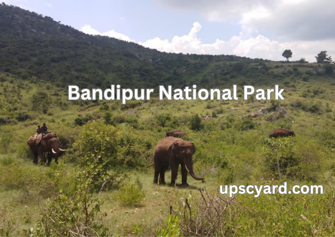 Bandipur National Park