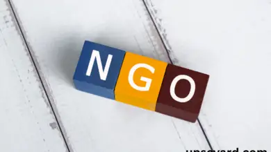 Non-governmental Organizations NGOs