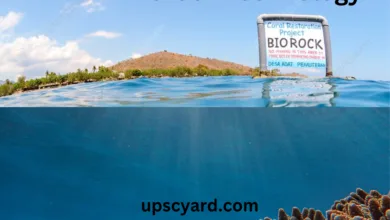 Biorock technology