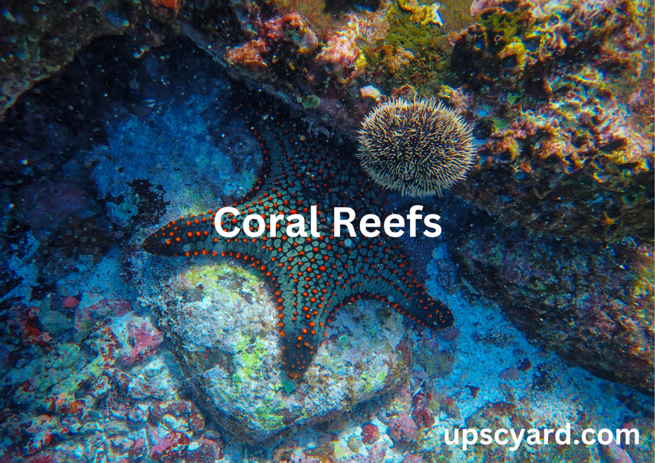 Coral Reefs