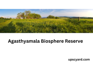 Agasthyamala Biosphere Reserve