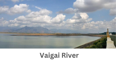 Vaigai River