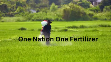 One Nation One Fertilizer