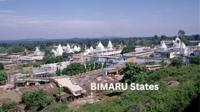 BIMARU States