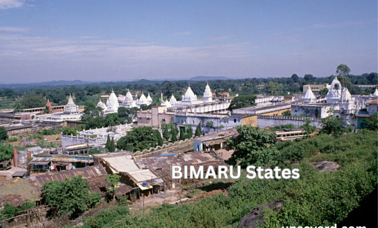 BIMARU States