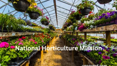 National Horticulture Mission