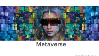 Metaverse 