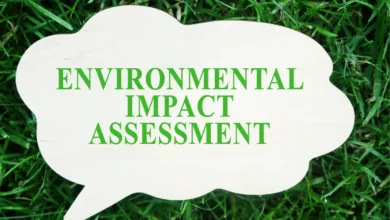 Environmental Impact Assessment