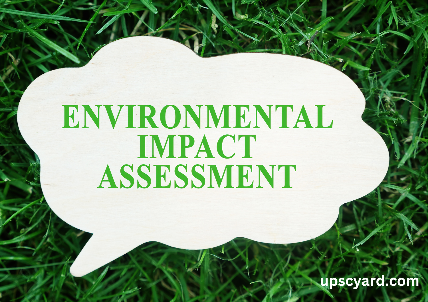 Environmental Impact Assessment