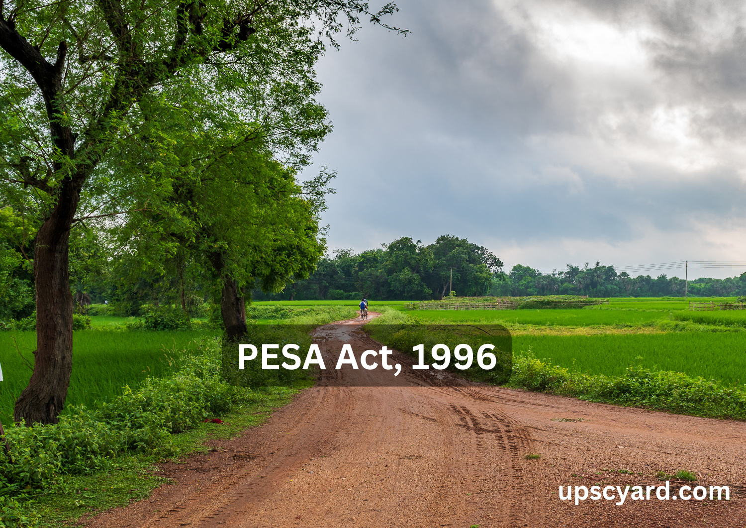 PESA Act