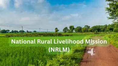 National Rural Livelihood Mission (NRLM)