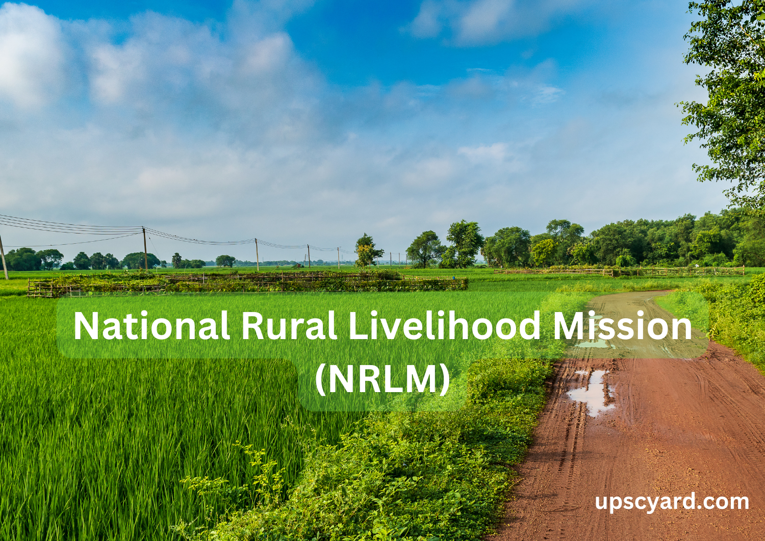 National Rural Livelihood Mission (NRLM)