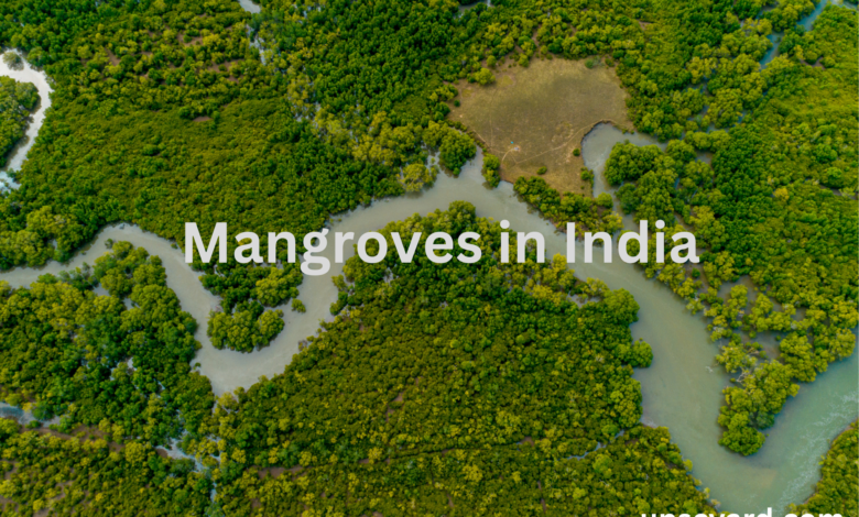 Mangroves in India