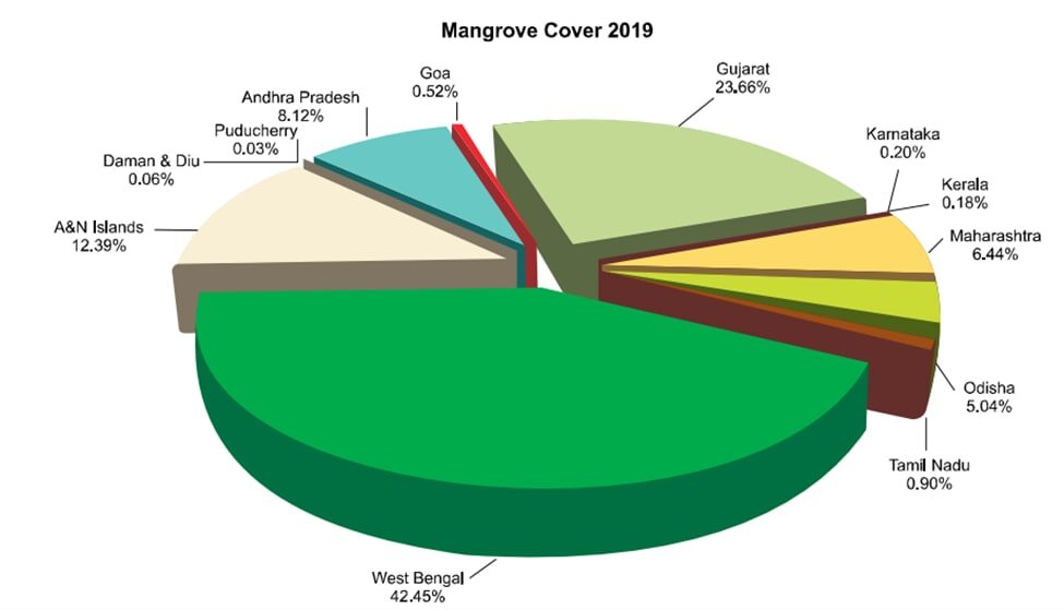 mangrove in india